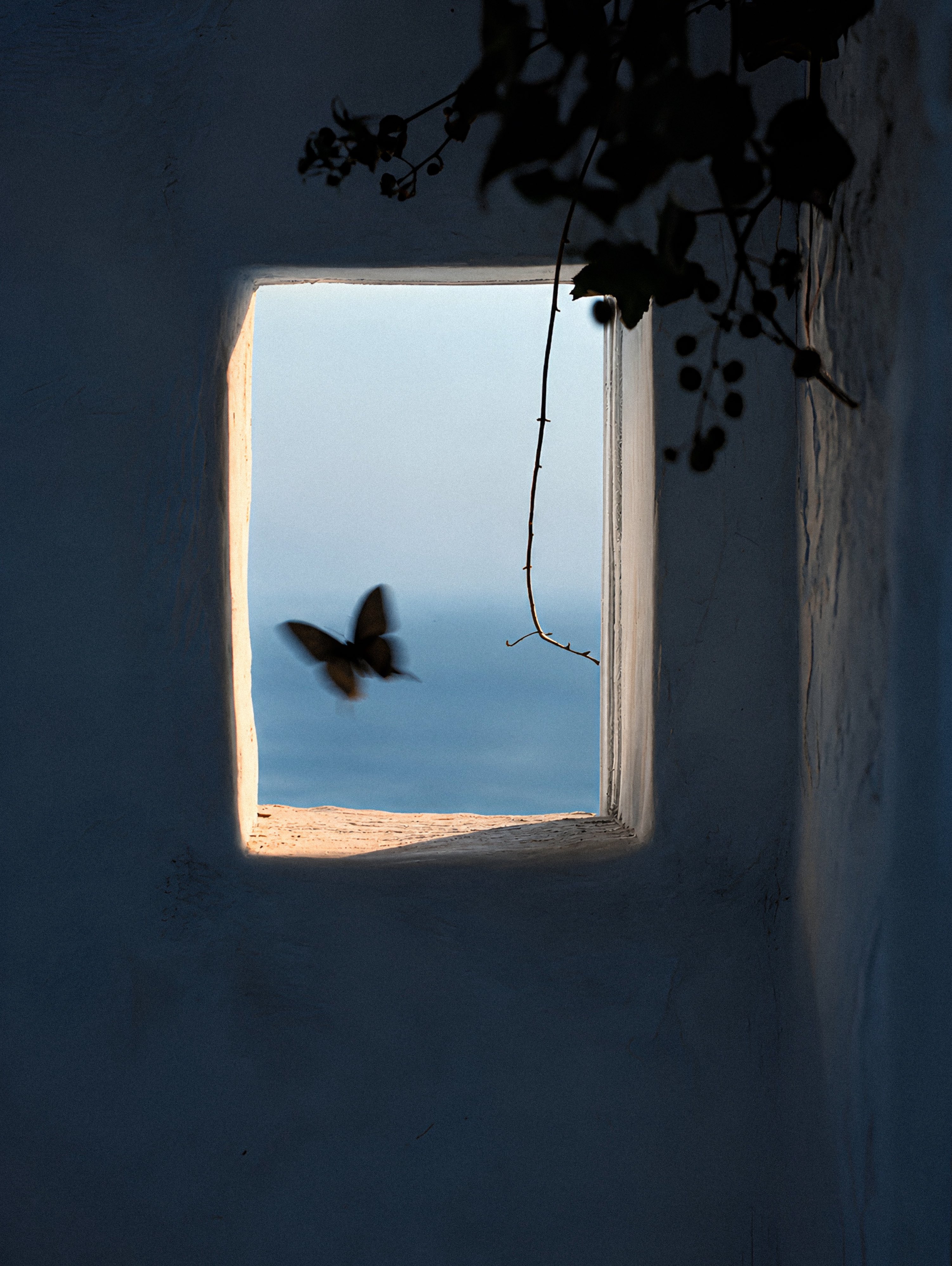 photorealistic image of a square window from a dark, rustic interior, l…