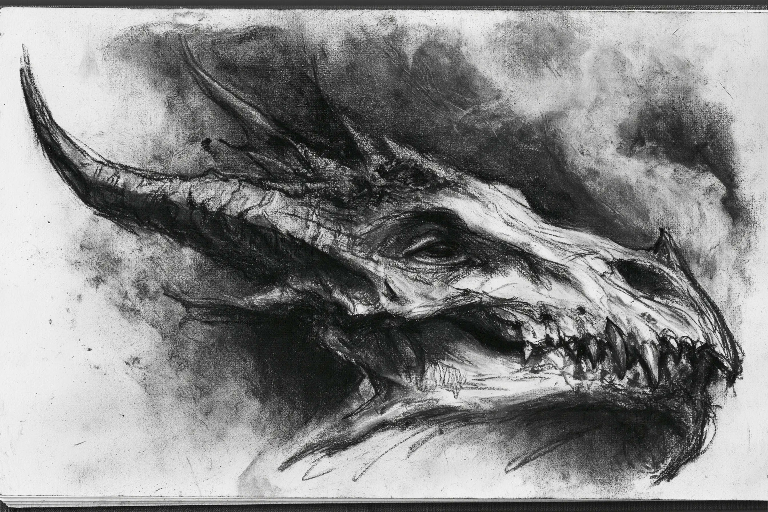 Gritty Charcoal 💬Prompt: A charcoal sketch of a [subject], raw and tex…