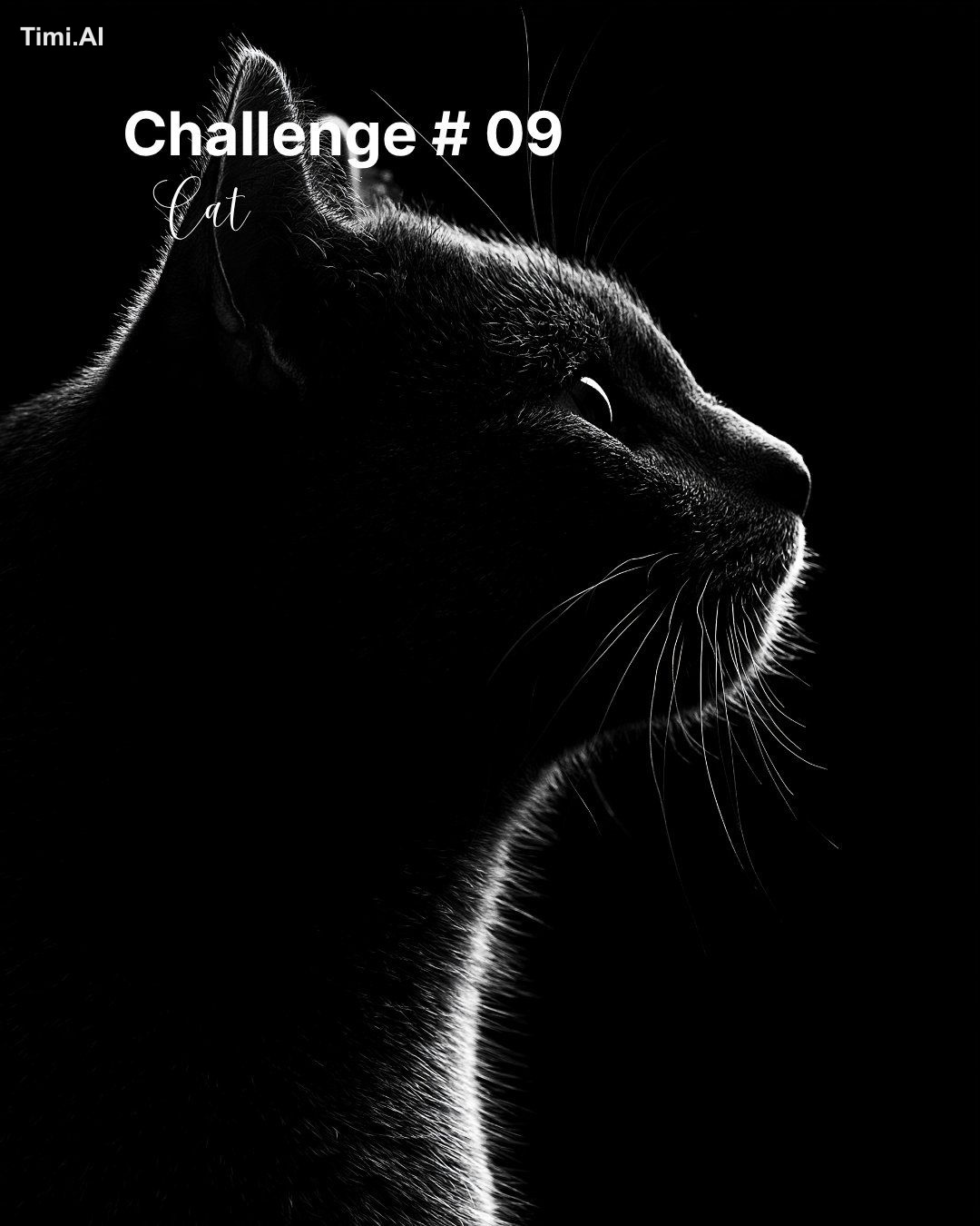 Creative Challenge #09: Cat Create your best artwork inspired by cats a…
