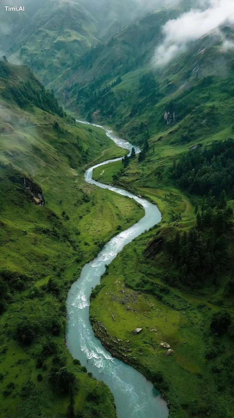 Wide aerial shot of a meandering mountain river cutting through lush gr…