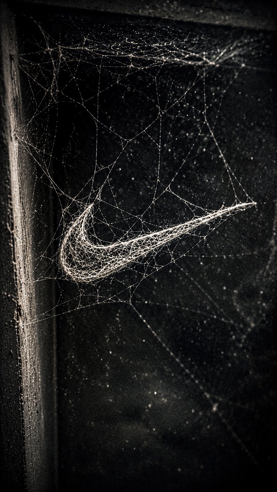 A highly realistic 3D spider web forming the [BRAND NAME + LOGO DESCRIP… 2