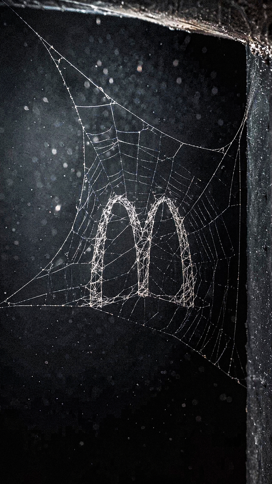 A highly realistic 3D spider web forming the [BRAND NAME + LOGO DESCRIP… 1