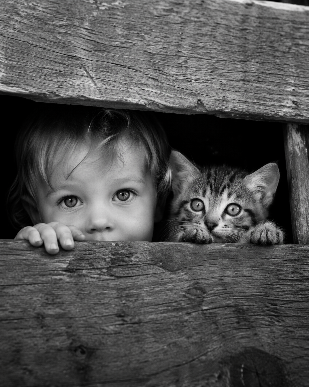 Black and white documentary photography, close-up shot, a little toddle…