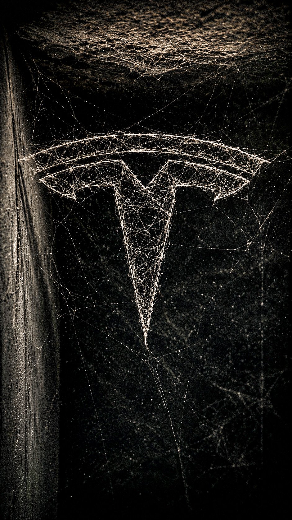 A highly realistic 3D spider web forming the [BRAND NAME + LOGO DESCRIP… 3