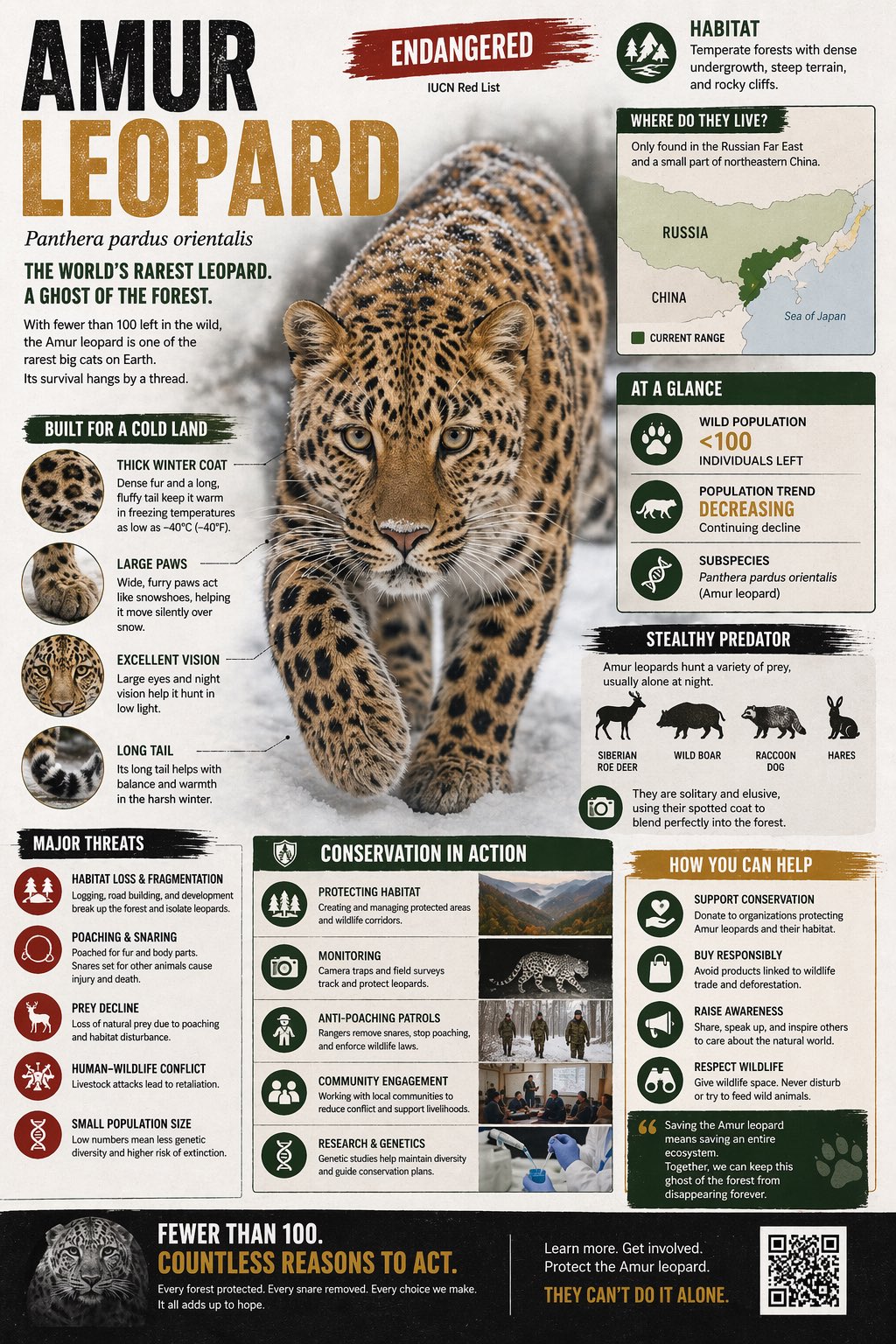Create a visually rich infographic about an endangered animal. Start by… 3
