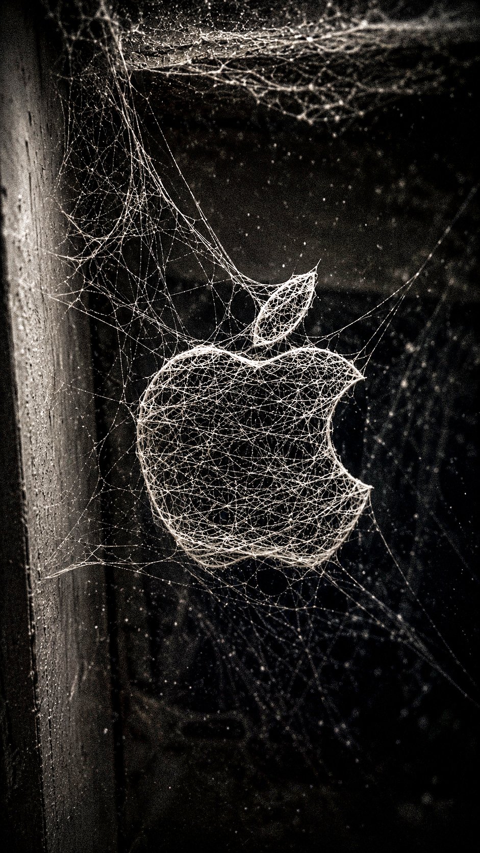 A highly realistic 3D spider web forming the [BRAND NAME + LOGO DESCRIP…