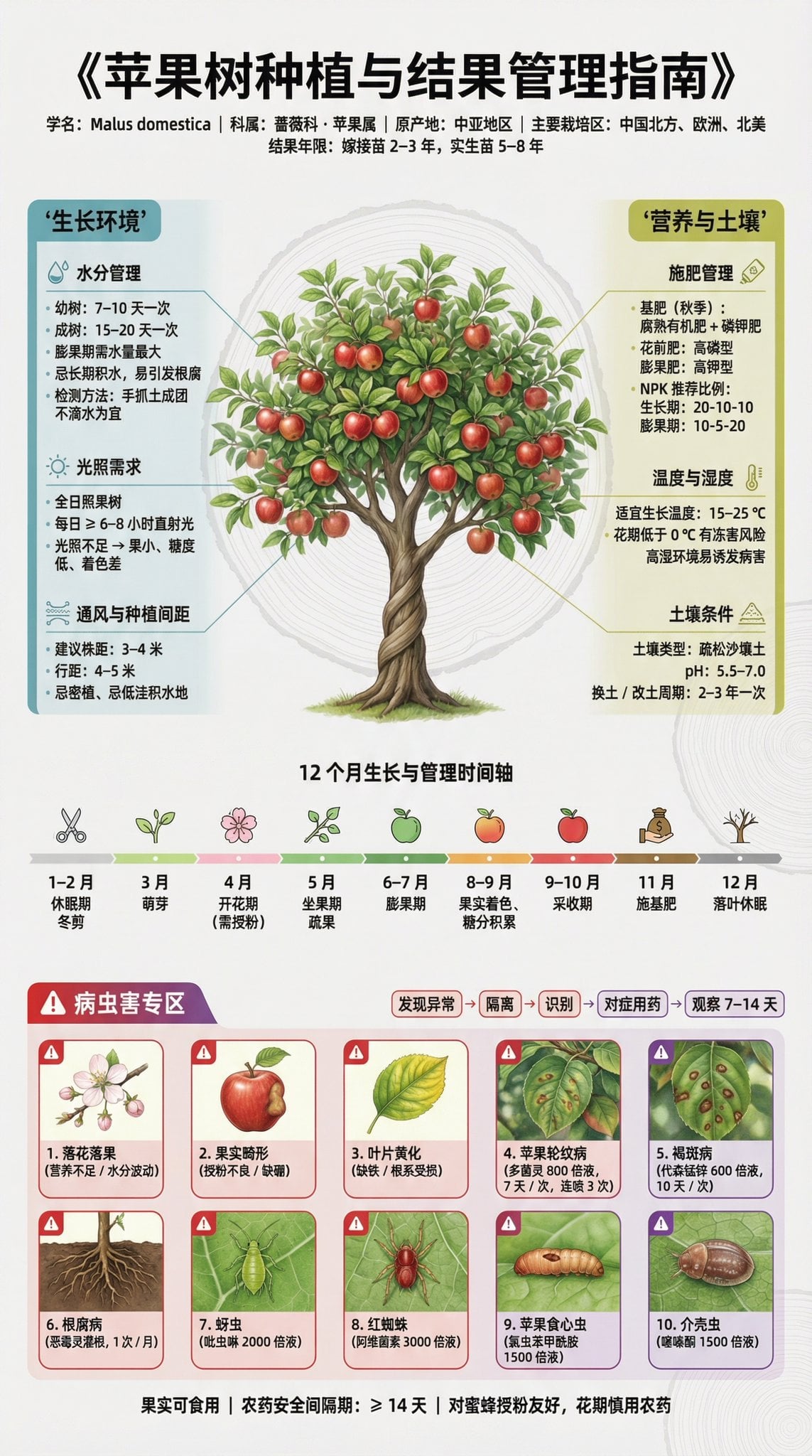 果树种植科普展板 | 3:4 竖版 | 博物馆级信息设计 【主标题】 「××果树种植与结果管理指南」 字体：思源黑体 / 思源宋体混排，确保中…